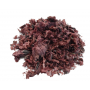 Coquelicot fleur bio